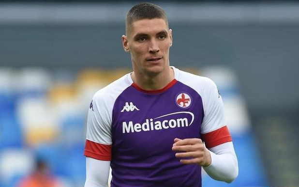 其中包括科 其中包括科